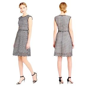 J. Crew Punched Out Eyelet Fit and Flare Dress 00